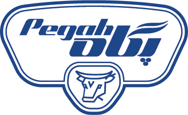 Pegah-New-Logo-vA02